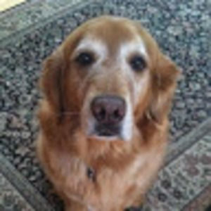 Meet your Posher, Aiden